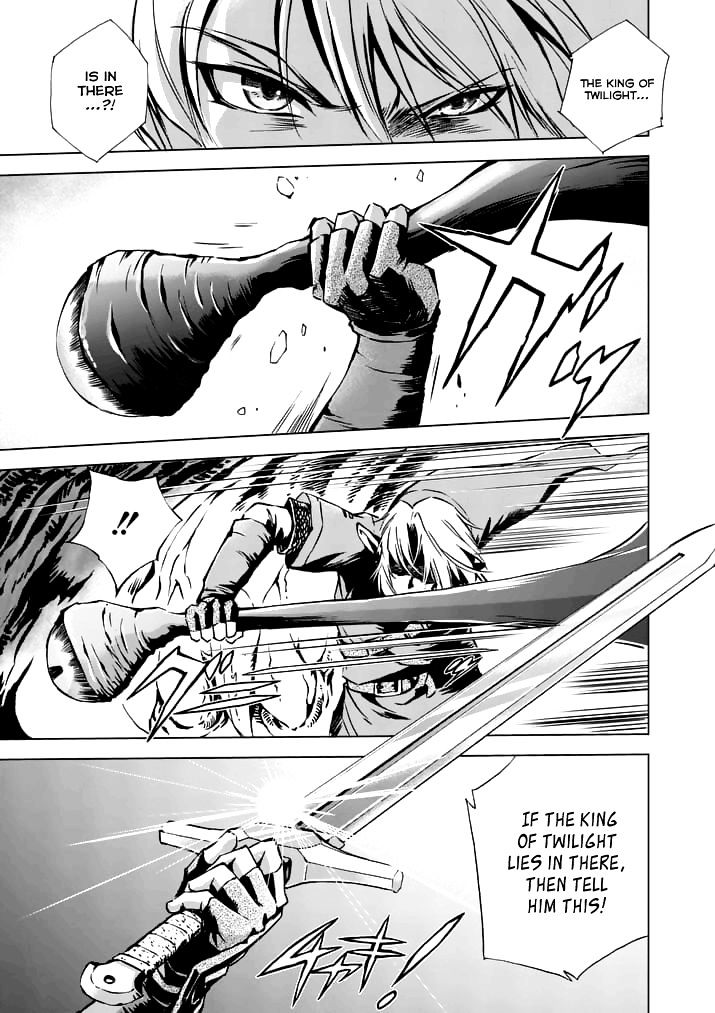 Zelda No Densetsu – Twilight Princess Chapter 16 - Page 17