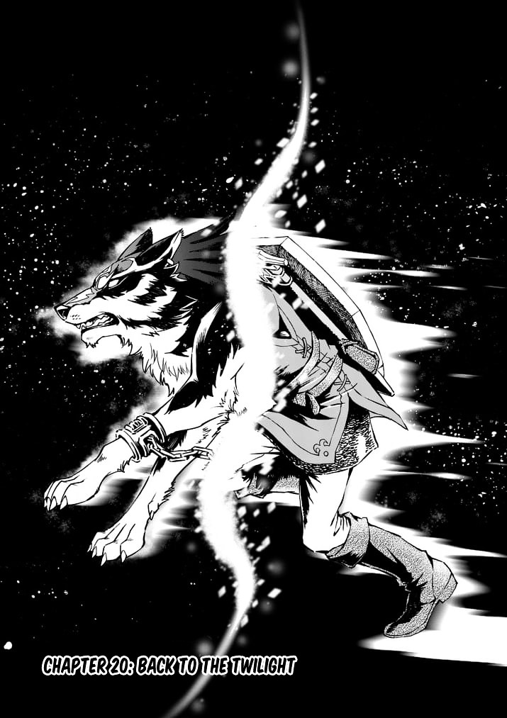 Zelda No Densetsu – Twilight Princess Chapter 20 - Page 1