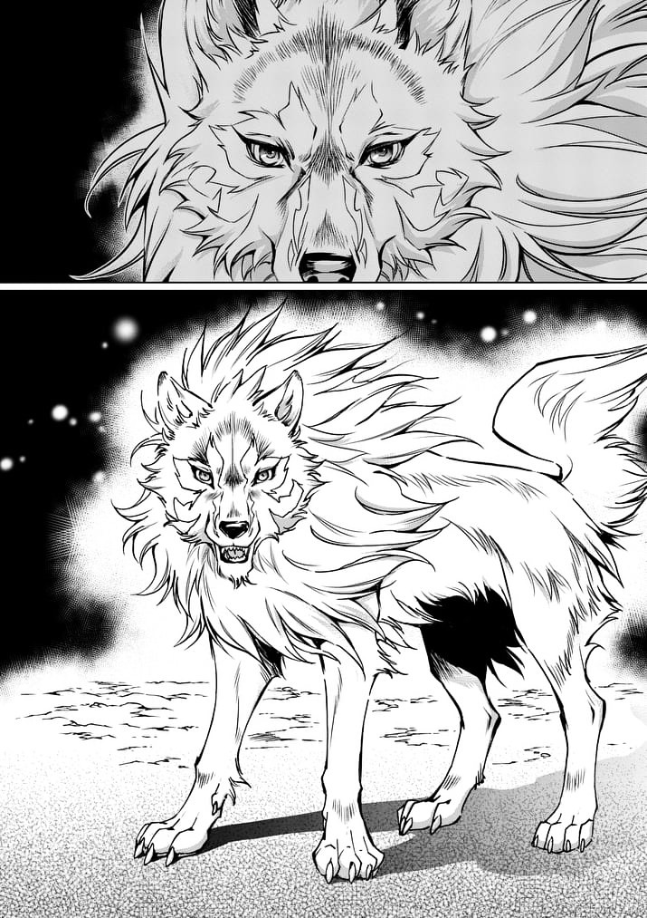 Zelda No Densetsu – Twilight Princess Chapter 21 - Page 16