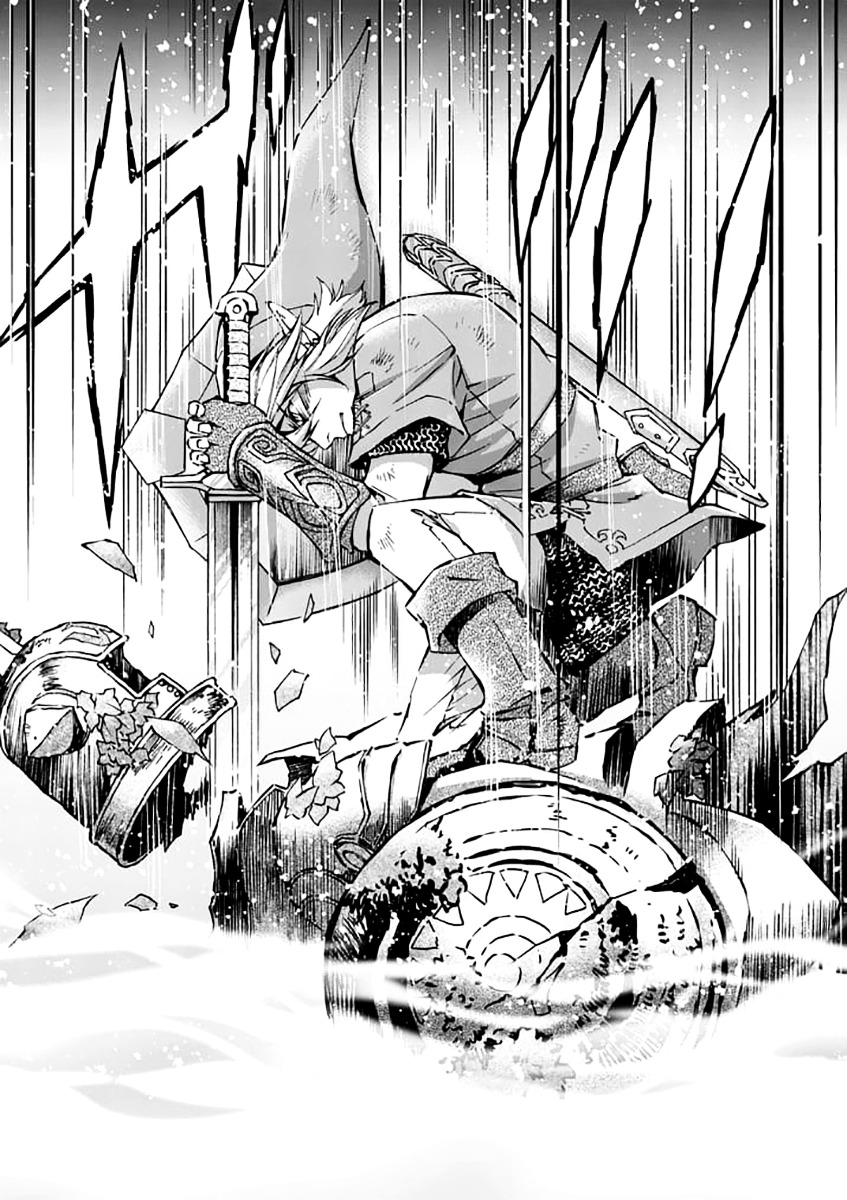 Zelda No Densetsu – Twilight Princess Chapter 23 - Page 12