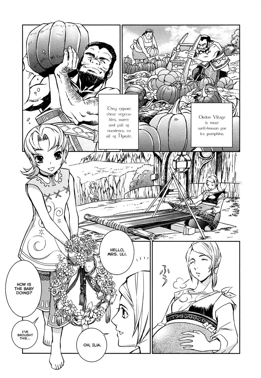 Zelda No Densetsu – Twilight Princess Chapter 3 - Page 13