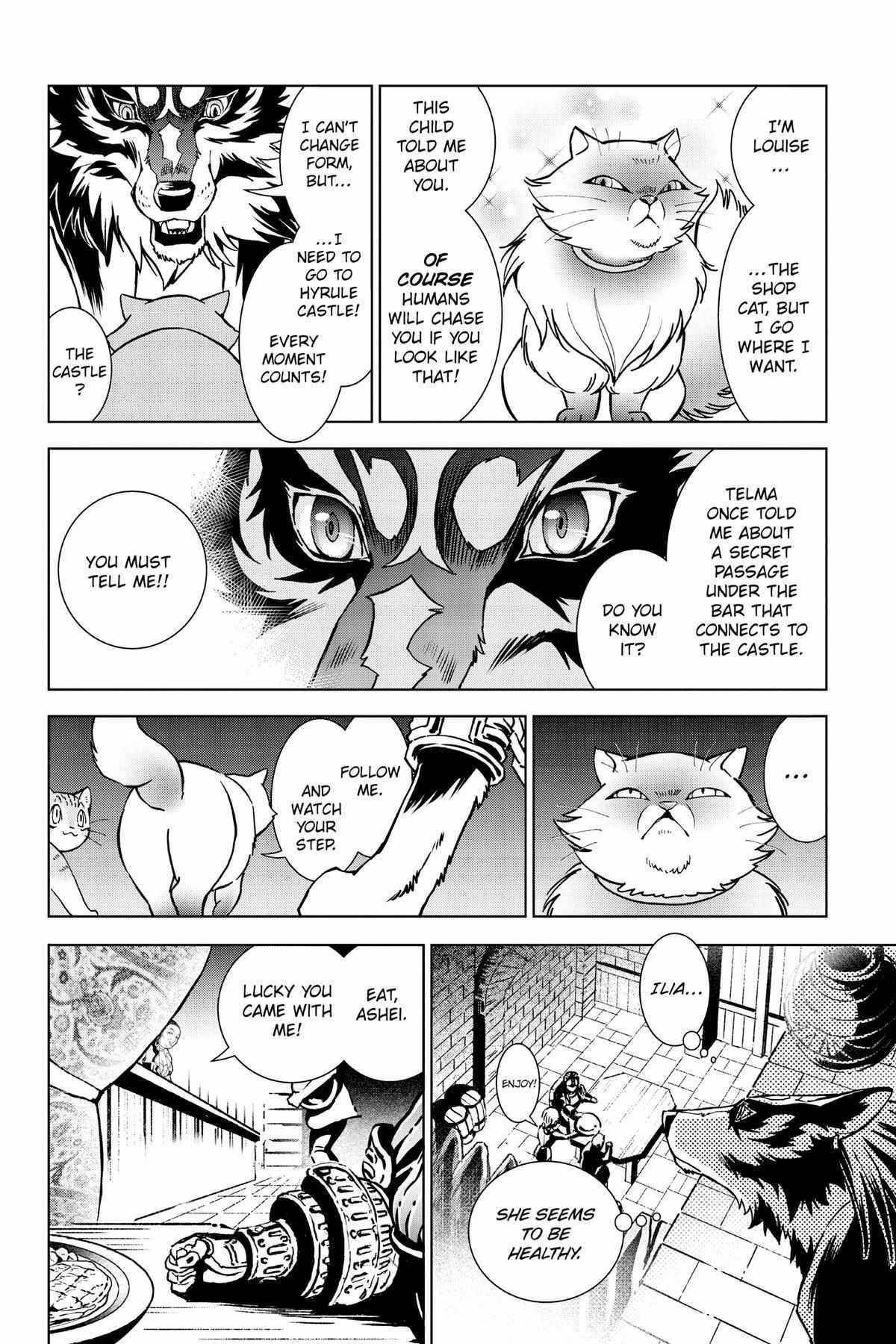 Zelda No Densetsu – Twilight Princess Chapter 31 - Page 51