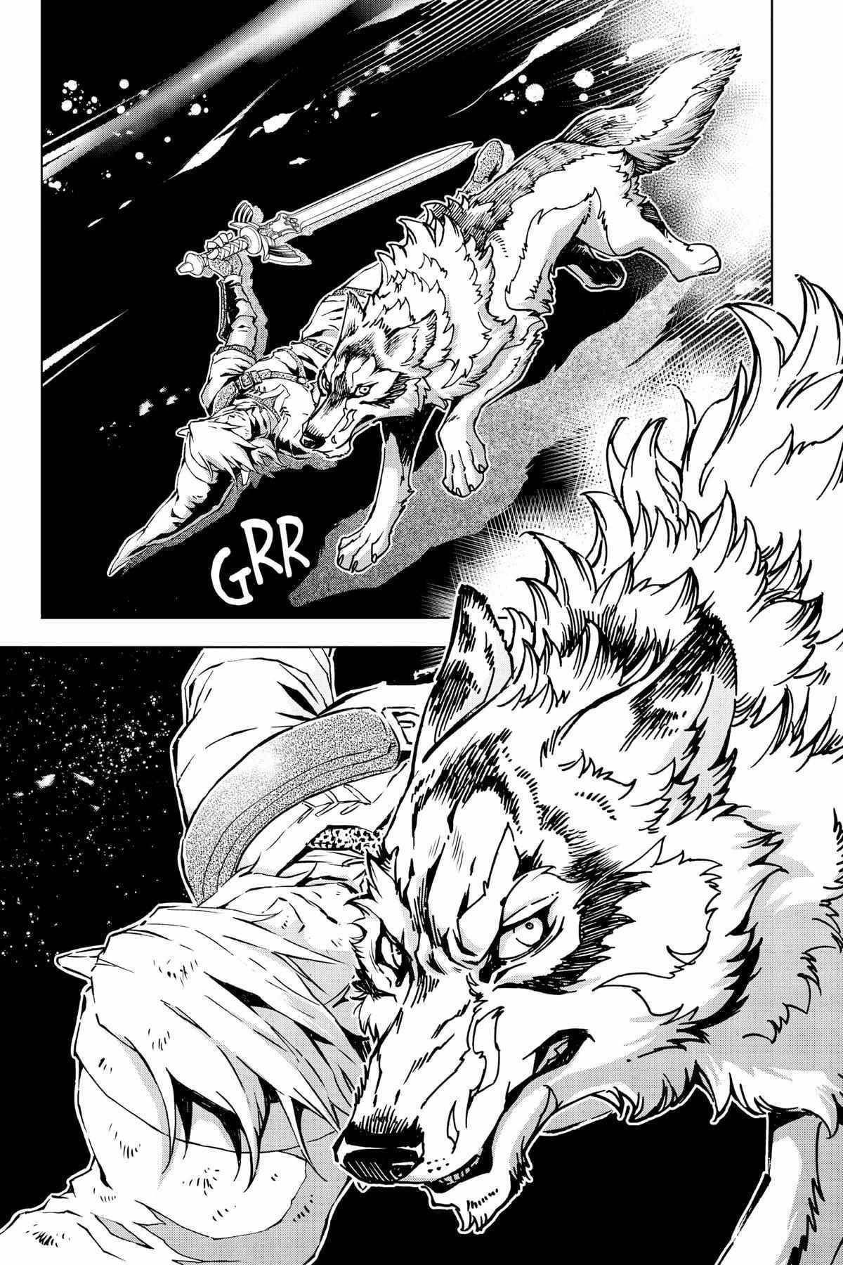 Zelda No Densetsu – Twilight Princess Chapter 36 - Page 80