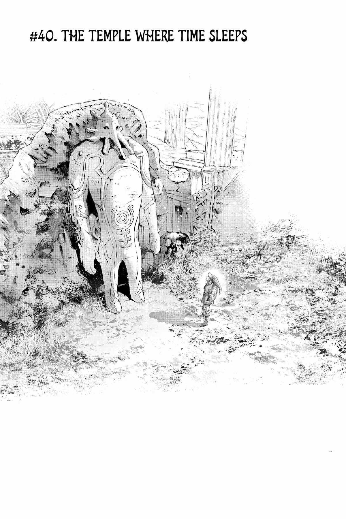 Zelda No Densetsu – Twilight Princess Chapter 40 - Page 1