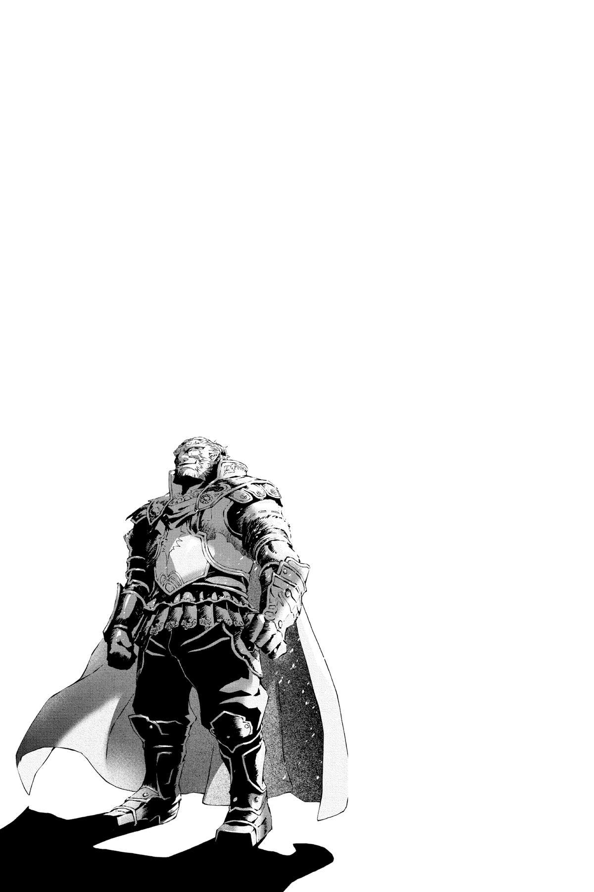 Zelda No Densetsu – Twilight Princess Chapter 40 - Page 34