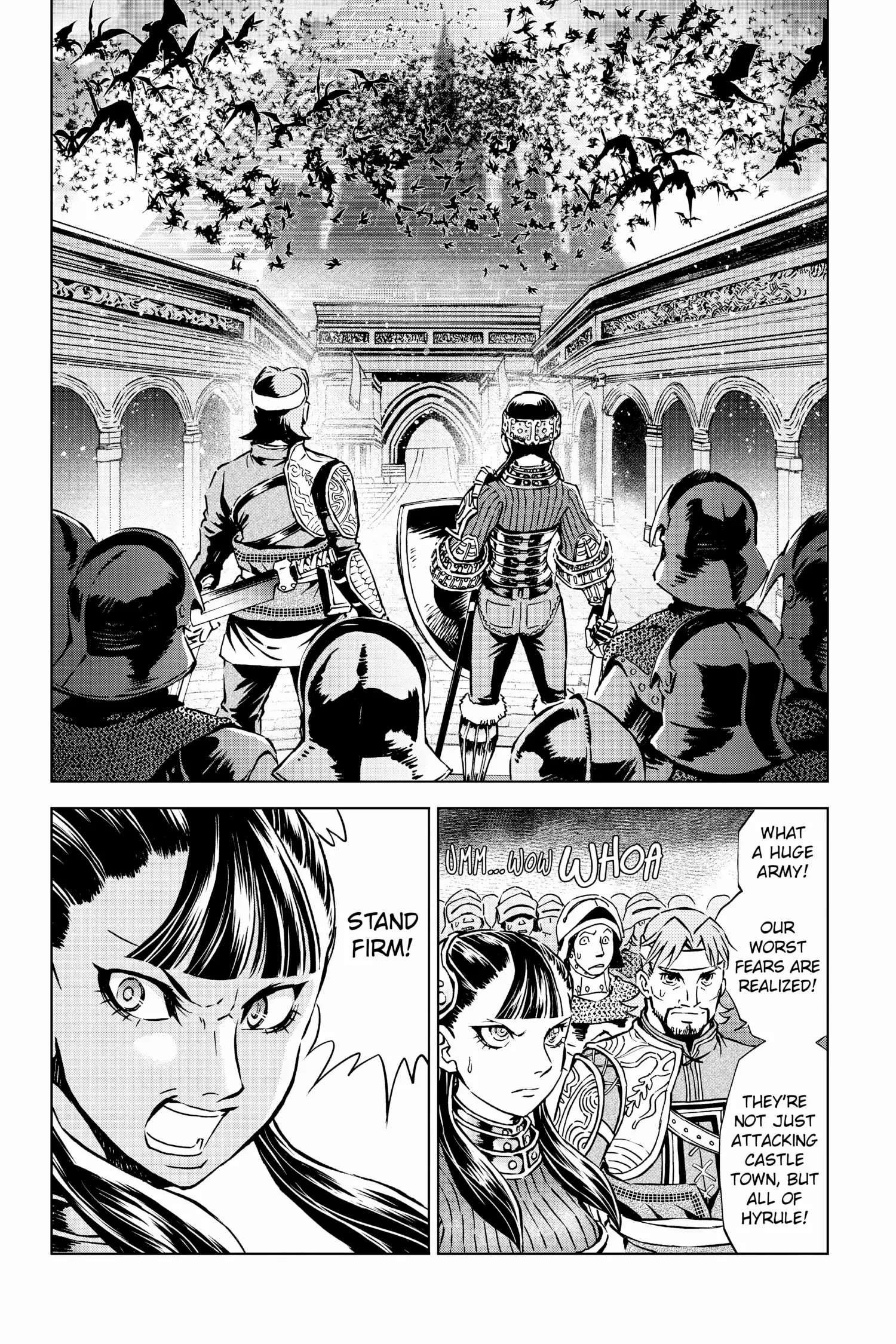 Zelda No Densetsu – Twilight Princess Chapter 49 - Page 14