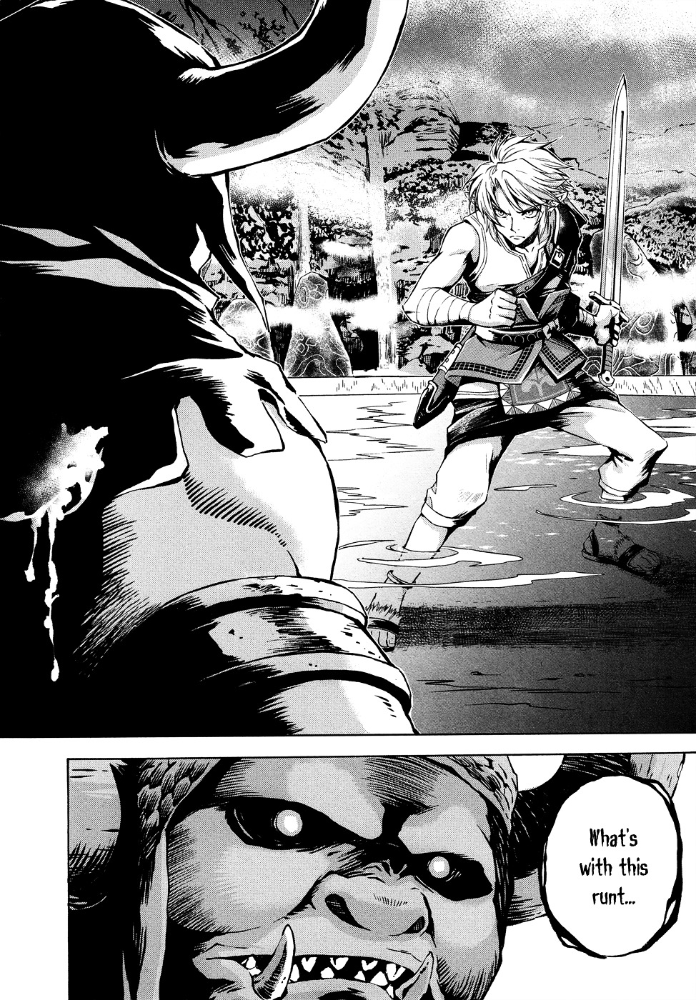 Zelda No Densetsu – Twilight Princess Chapter 7 - Page 18