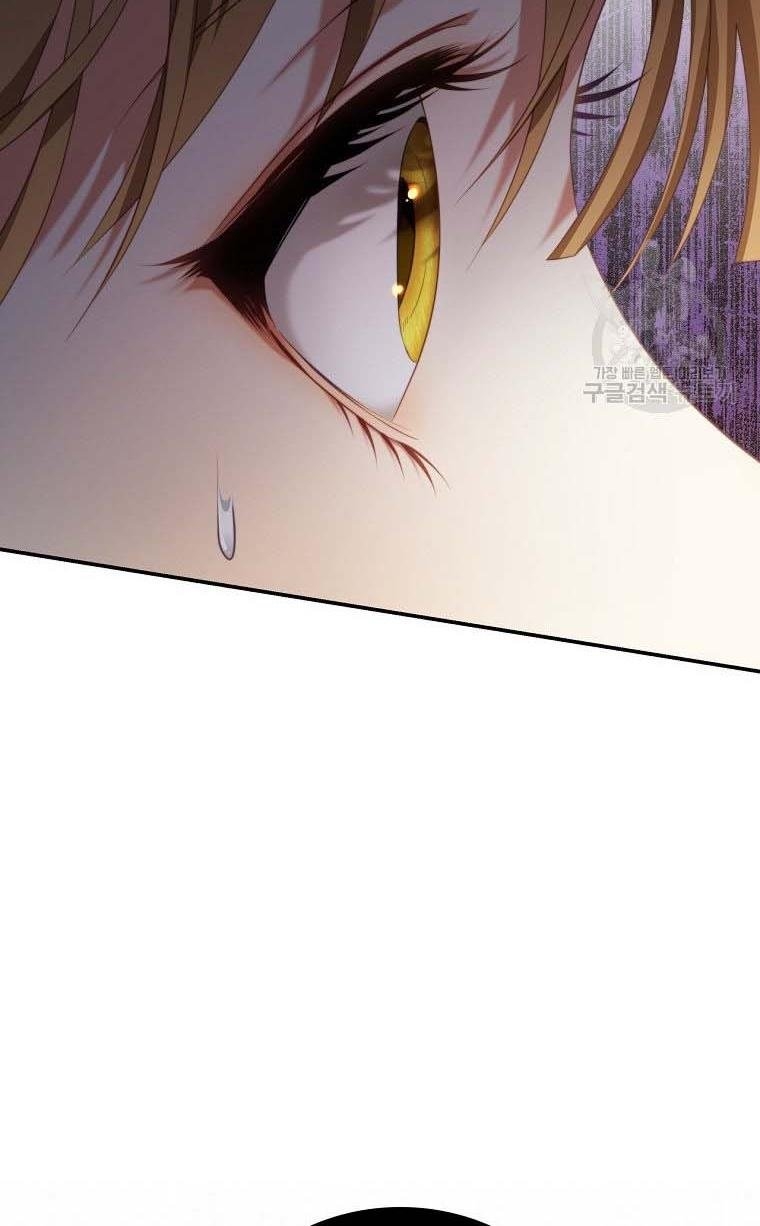 I Have Become The Heroes’ Rival Chapter 20 - Page 97