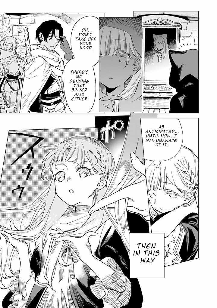 Nise Seijo!? Mira no Boukentan – Tsuihousaremashita ga, Jitsu wa Saikyou na no de Second Life wo Tanoshimimasu! Chapter 3 - Page 5