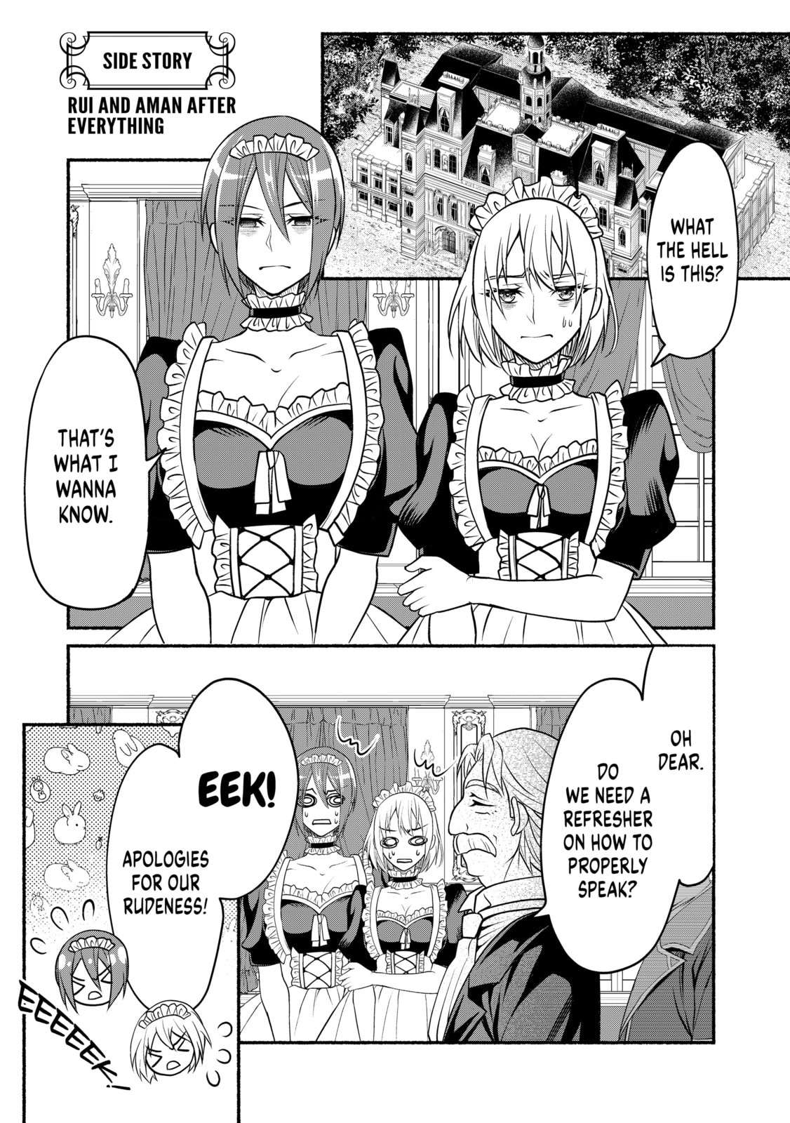 My 8th loop happy life ~ with my 7th loop experience and [appraisal] of the 3rd princess, and my partner behemoth, I’m peerless Chapter 27.5 - Page 9