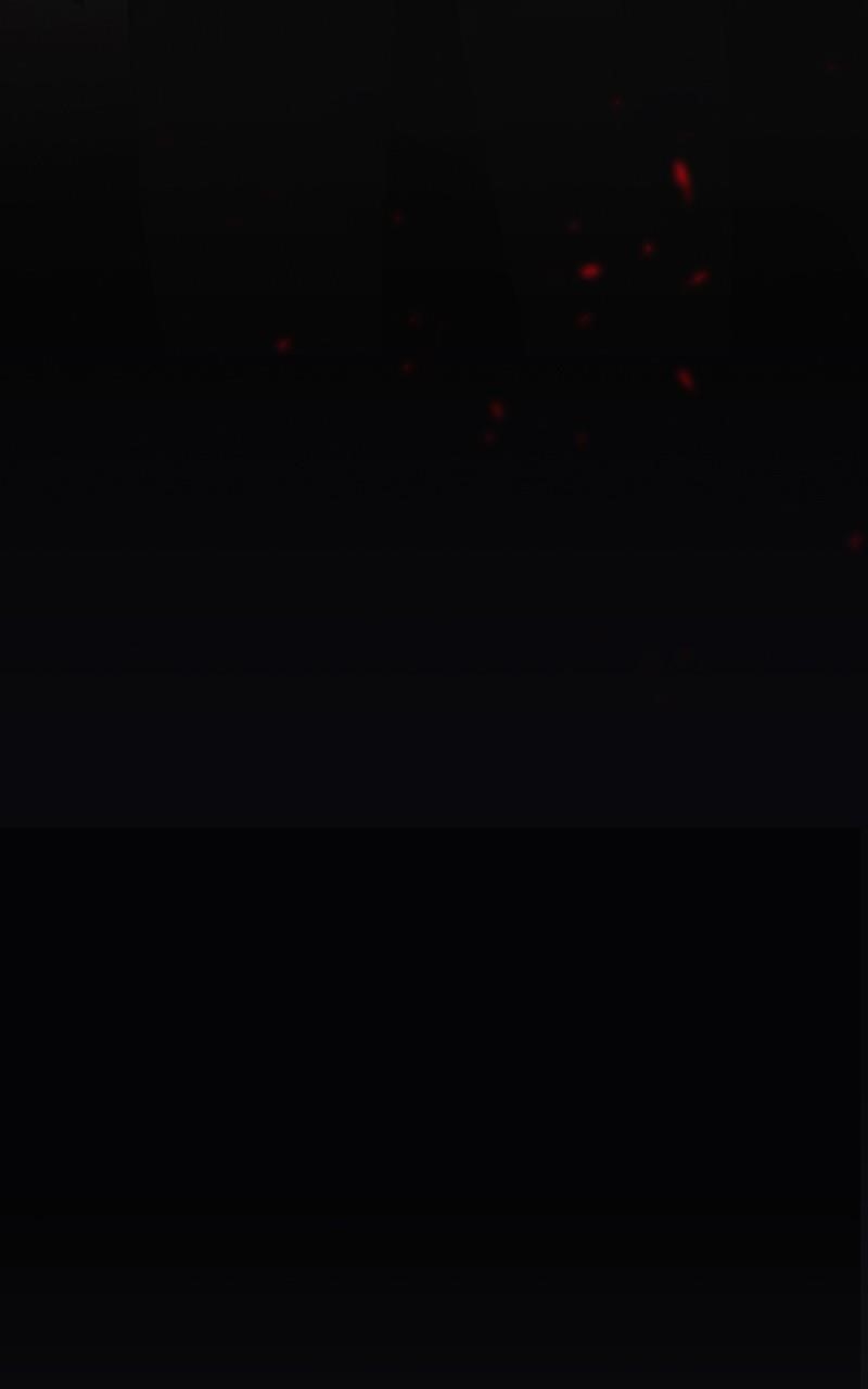 The Last Bloodline Chapter 12 - Page 100