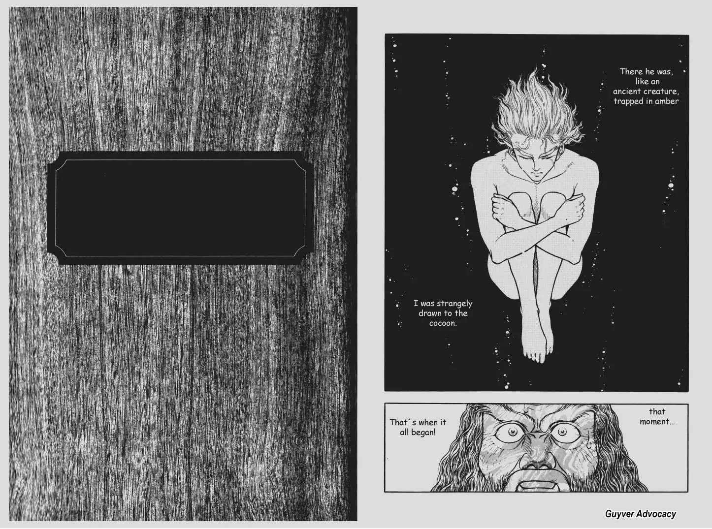 Guyver Chapter 79 - Page 12