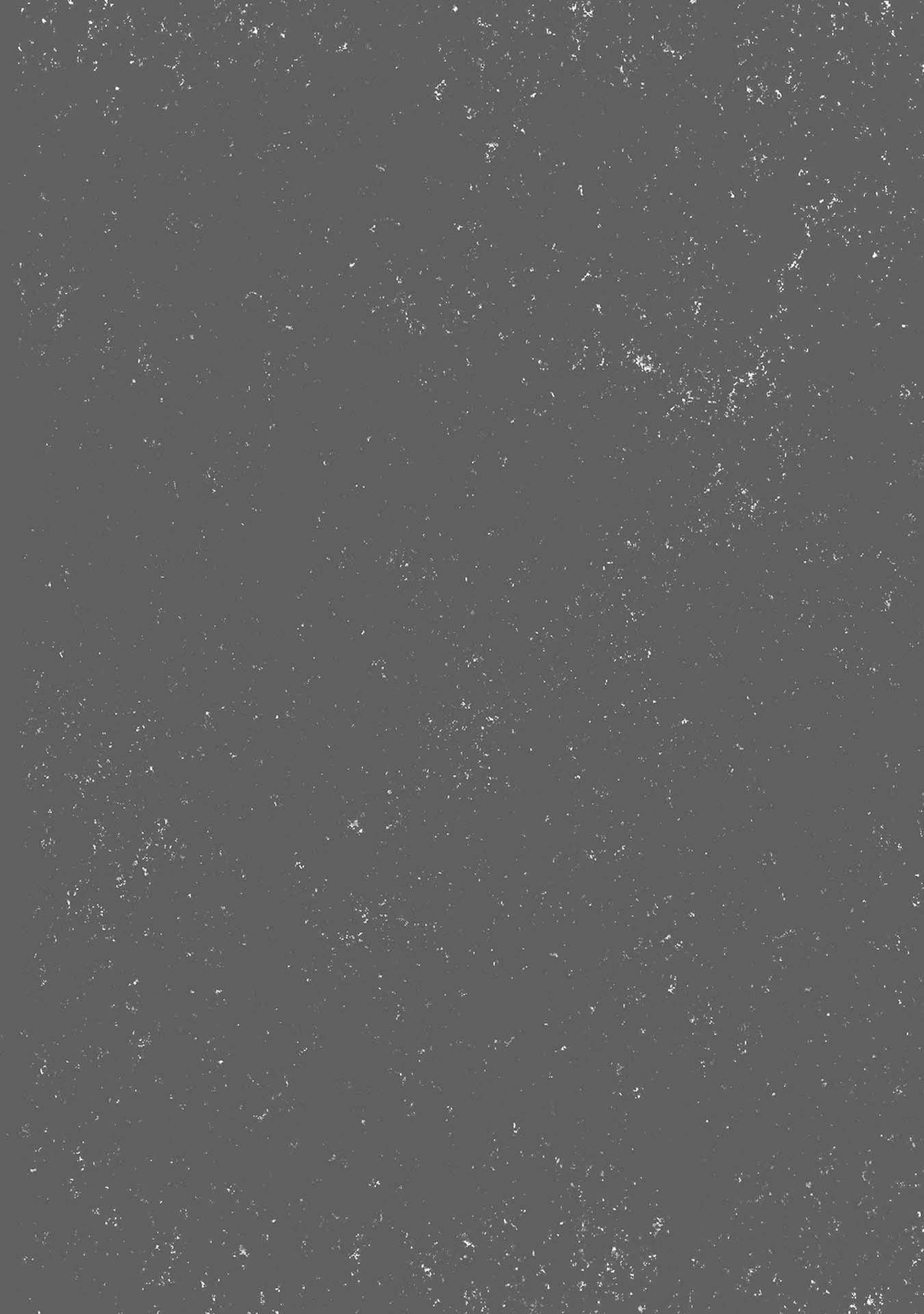 Another World Survival: Min-maxing my Support and Summoning Magic Chapter 19 - Page 25