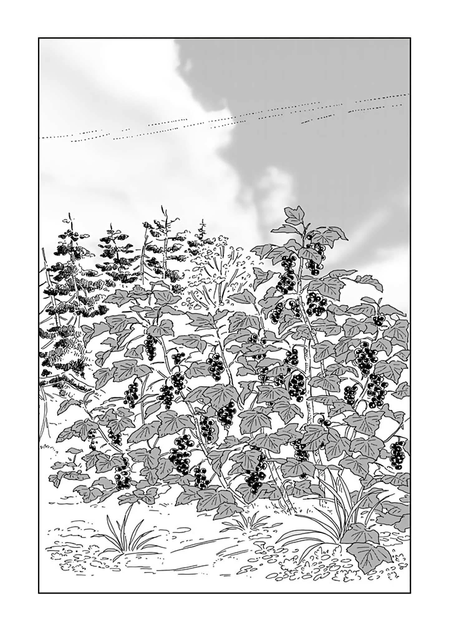 The Snow Country Hunting Life of the Northern Nobleman and the Raptor Wife Chapter 88 - Page 1