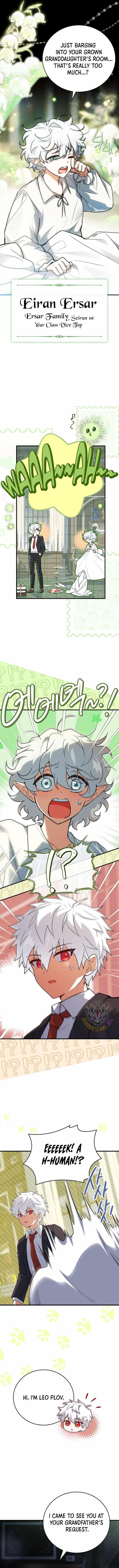 Legendary Hero Is an Academy Honors Student Chapter 39 - Page 15