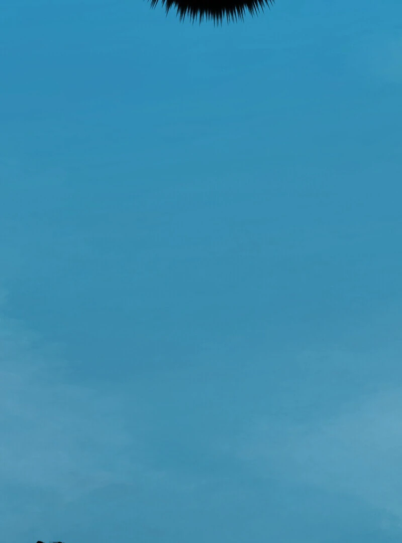 Reincarnated With a Metal Bat ~Surviving the Monochrome Madness~ Chapter 30 - Page 48