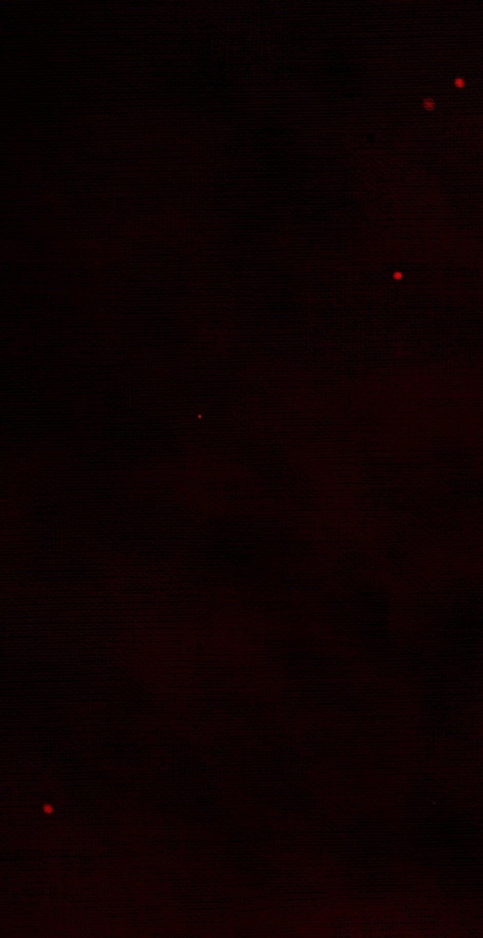 Tomahawk Angel Chapter 35 - Page 41