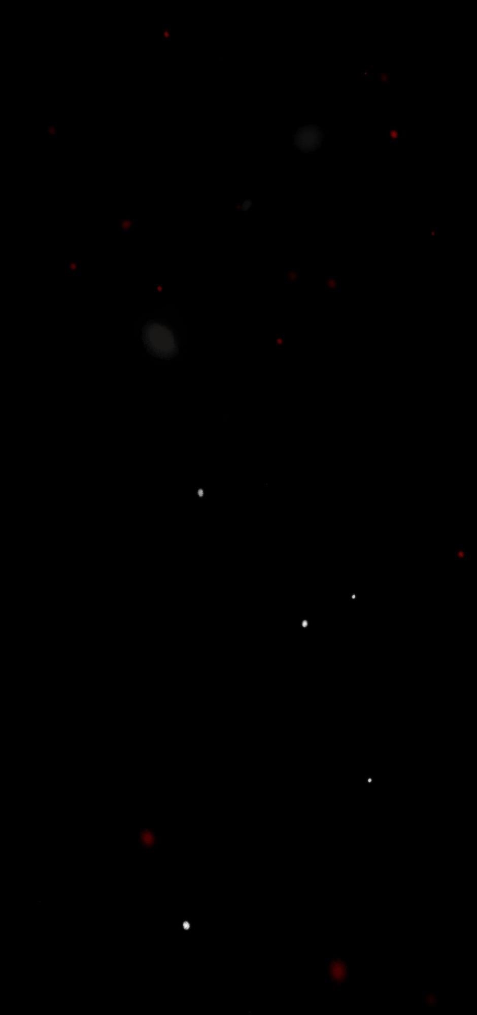 Tomahawk Angel Chapter 37 - Page 44