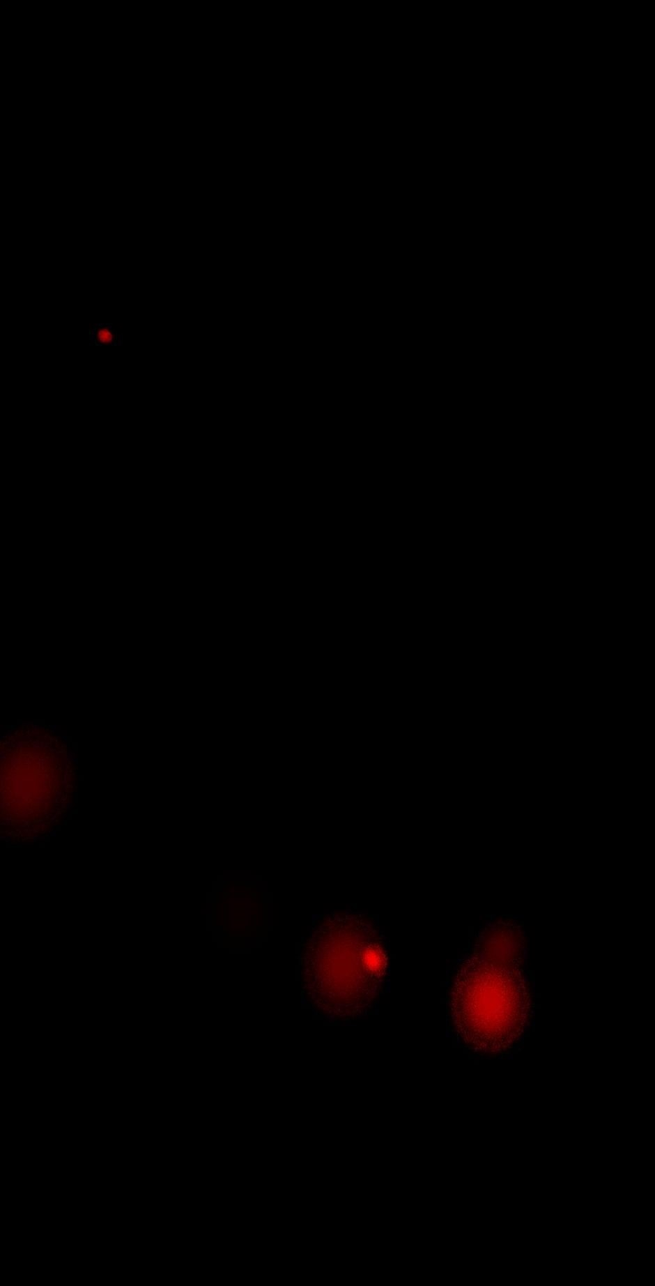 Tomahawk Angel Chapter 49 - Page 32