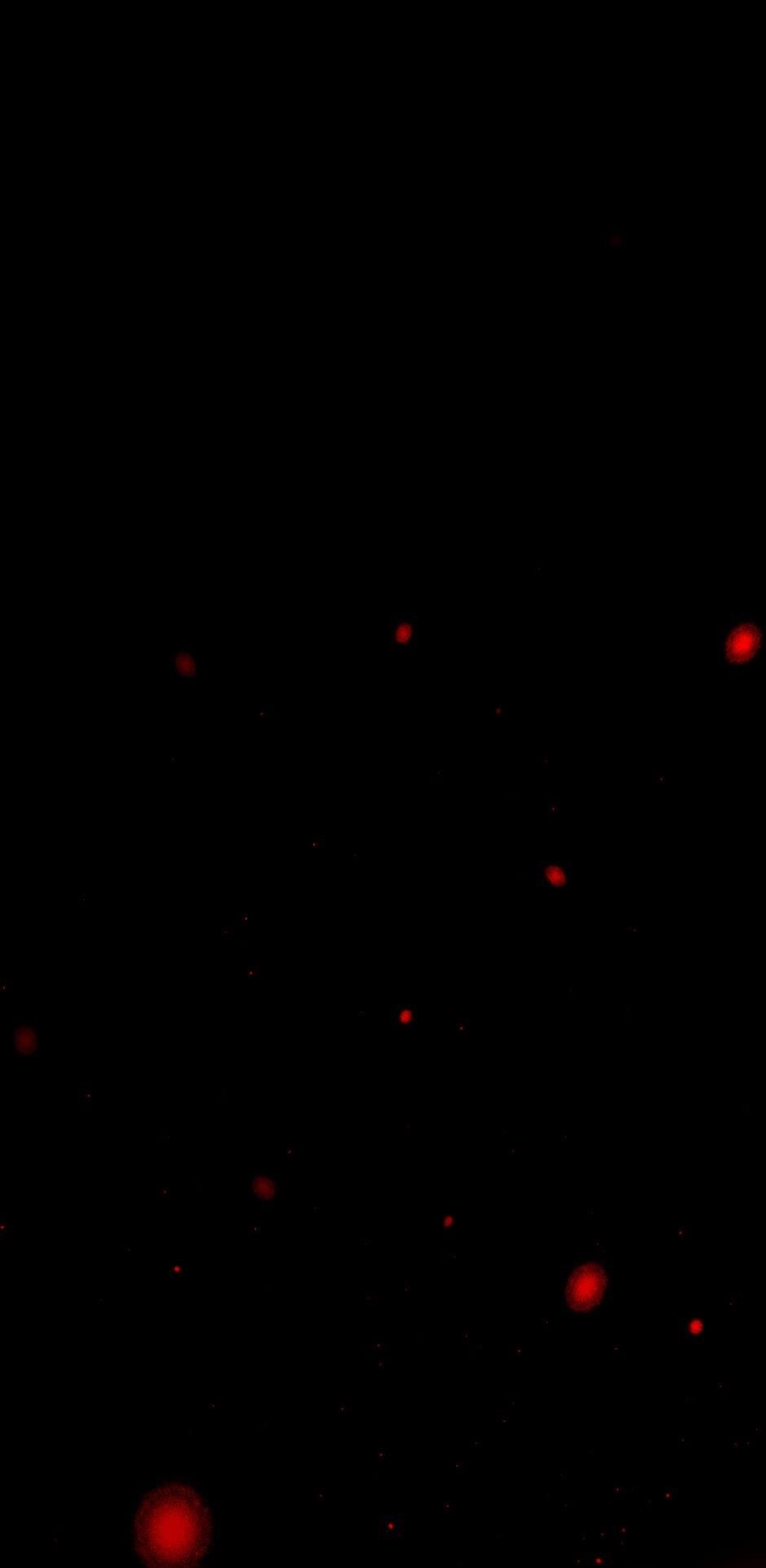 Tomahawk Angel Chapter 56 - Page 7