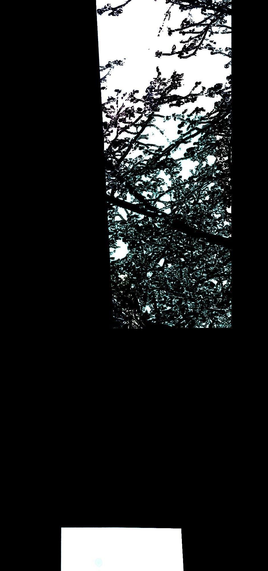 Tomahawk Angel Chapter 85 - Page 5