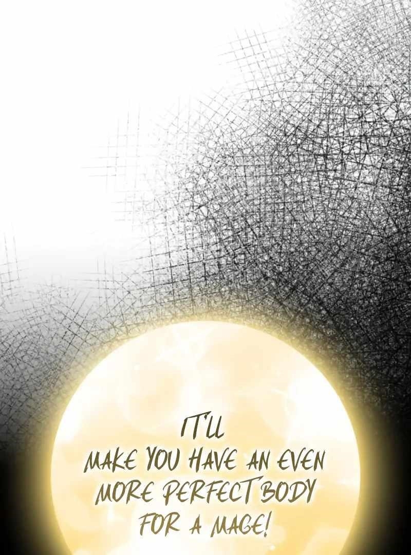 A Genius Wizard Who Breaks Boundaries Chapter 43 - Page 149