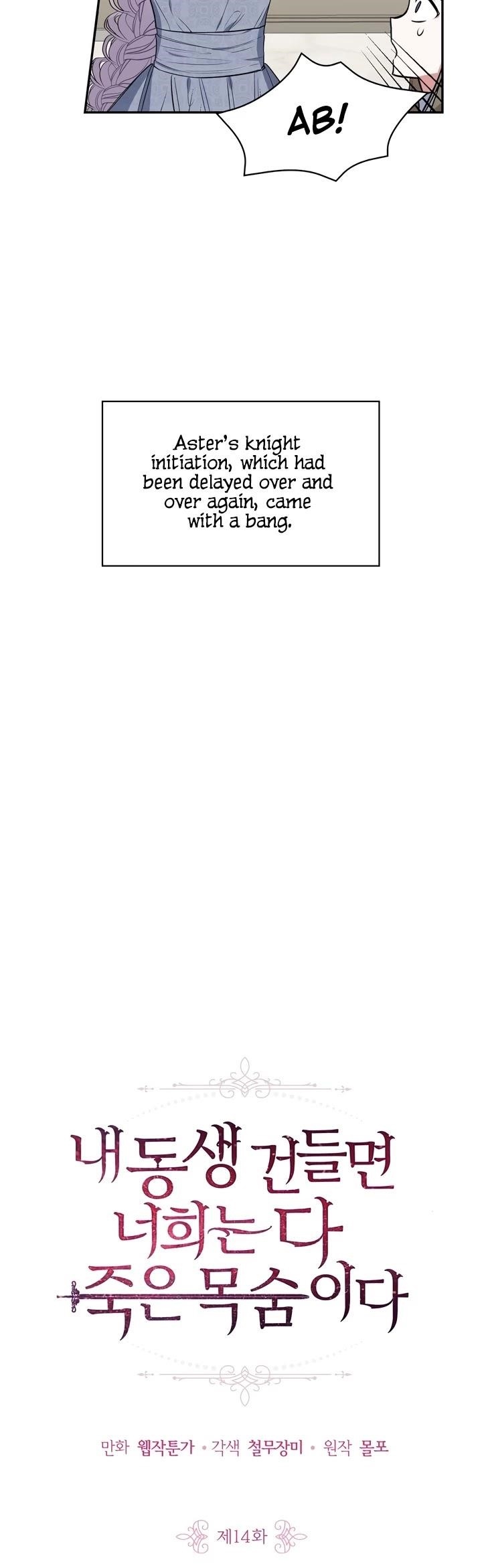 If You Touch My Little Brother, You’re All Dead Chapter 14 - Page 3