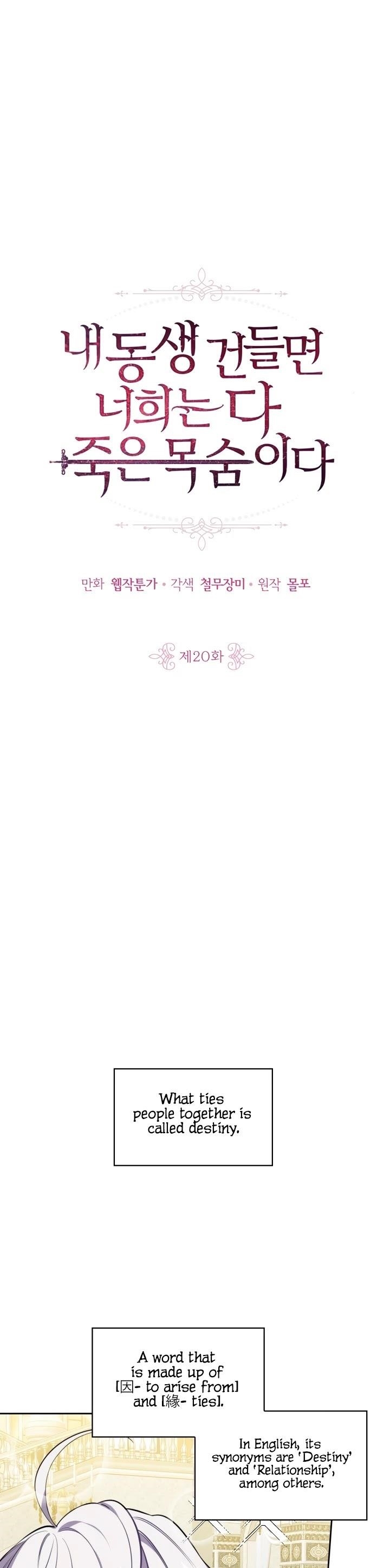 If You Touch My Little Brother, You’re All Dead Chapter 20 - Page 3