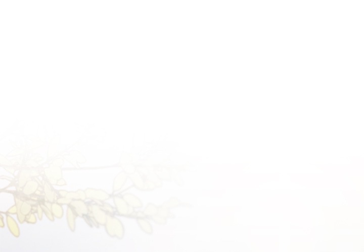 Someone Stop Her! (Uncensored) Chapter 22 - Page 1