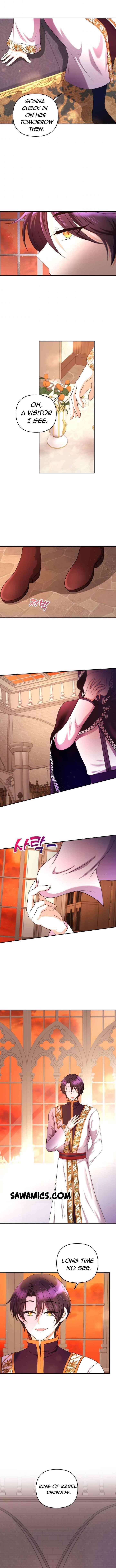 The Princess Is Evil Chapter 28.2 - Page 3