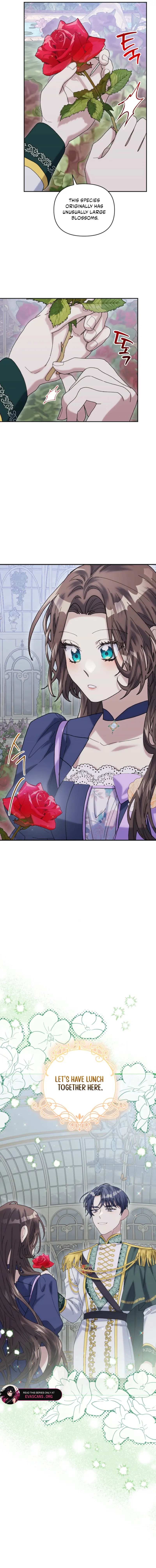 The Reason for Avoiding Him, the Perfect One Chapter 25 - Page 12