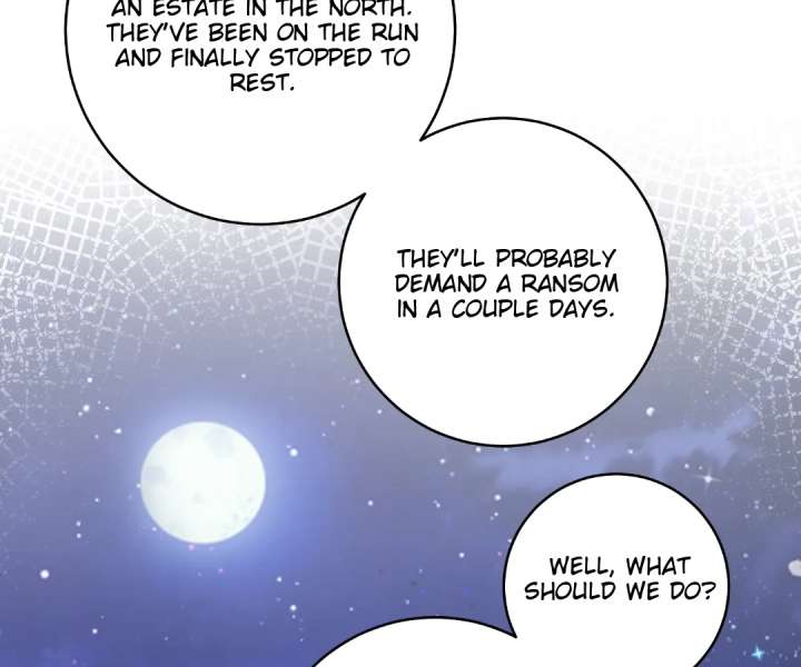 Reincarnated As the Villain Queen to Get My Revenge Chapter 49 - Page 17