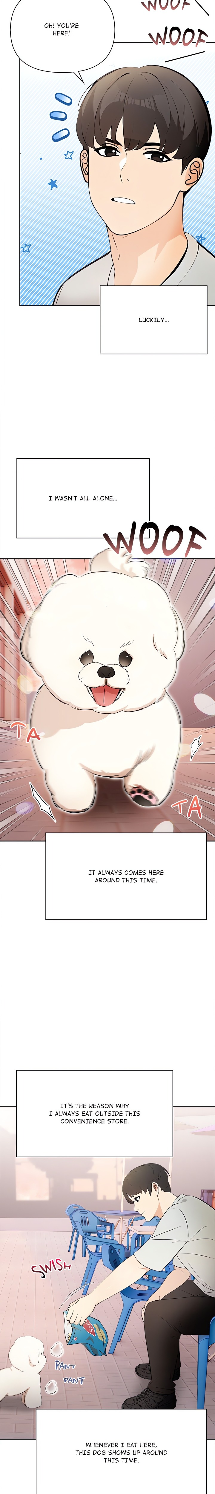 The Apocalypse Chapter 1 - Page 8