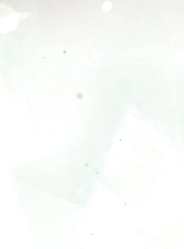 Rather Than The Son, I’ll Take The Father Chapter 47 - Page 53