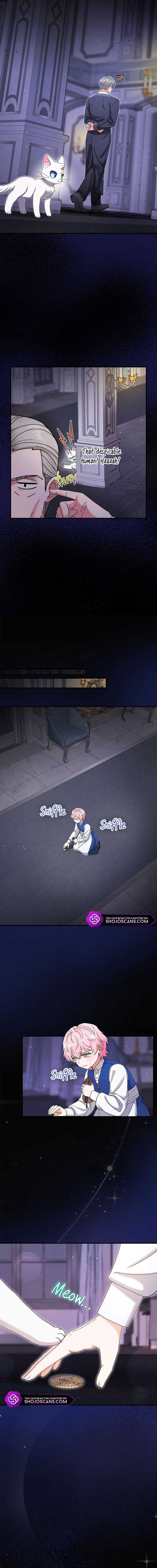 I Became the Emperor’s Cat Chapter 10 - Page 13