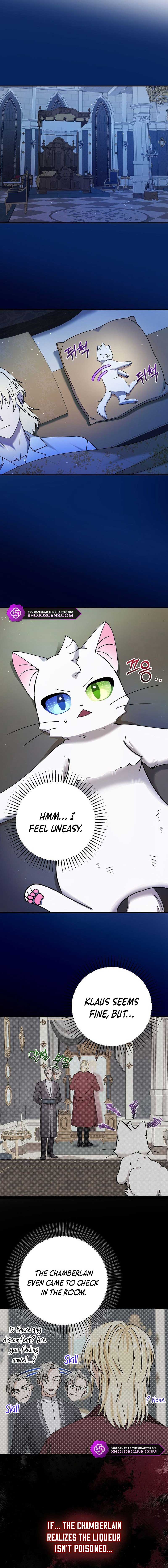 I Became the Emperor’s Cat Chapter 10 - Page 8