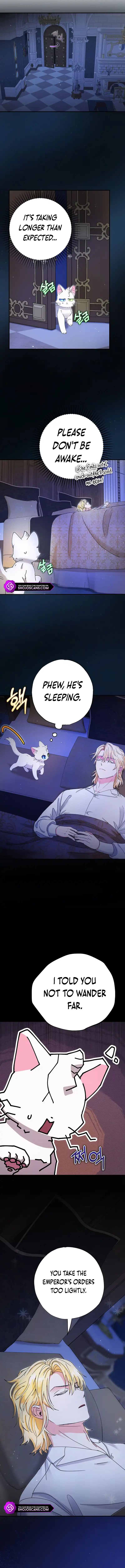 I Became the Emperor’s Cat Chapter 11 - Page 11