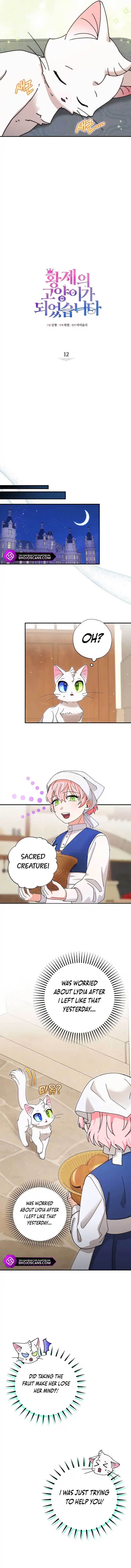 I Became the Emperor’s Cat Chapter 12 - Page 5