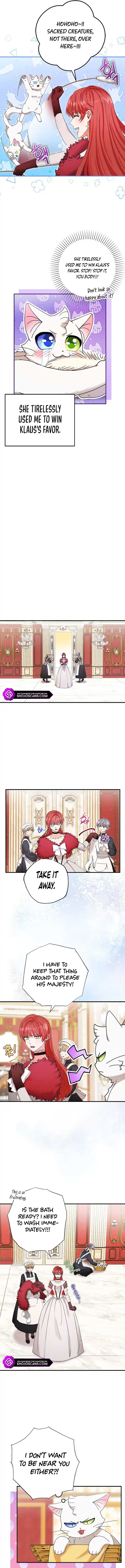 I Became the Emperor’s Cat Chapter 13 - Page 5