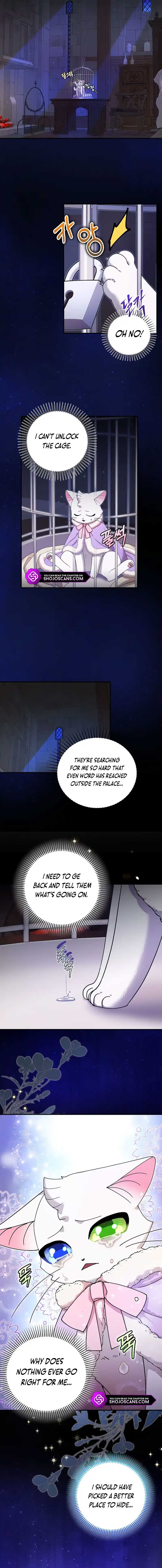 I Became the Emperor’s Cat Chapter 15 - Page 7