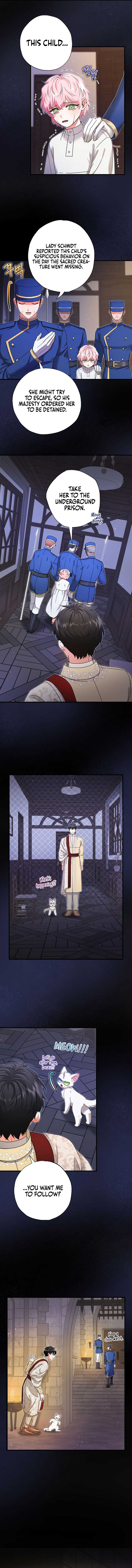 I Became the Emperor’s Cat Chapter 17 - Page 11