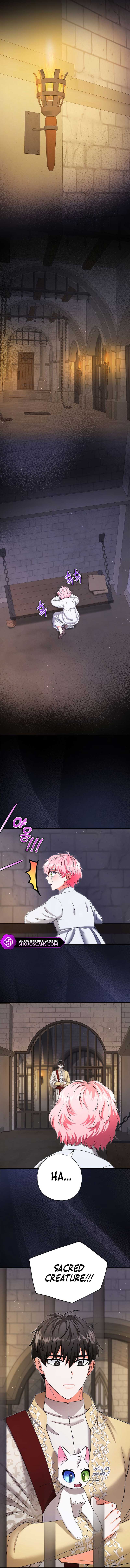 I Became the Emperor’s Cat Chapter 17 - Page 12