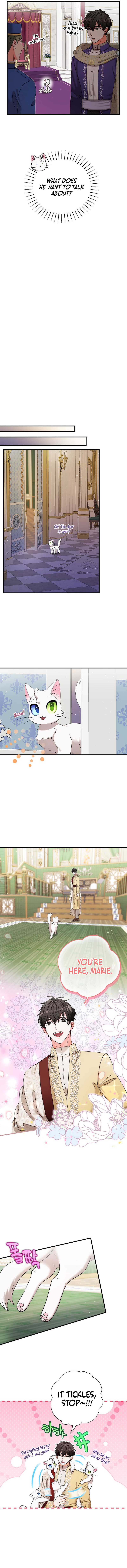 I Became the Emperor’s Cat Chapter 17 - Page 5