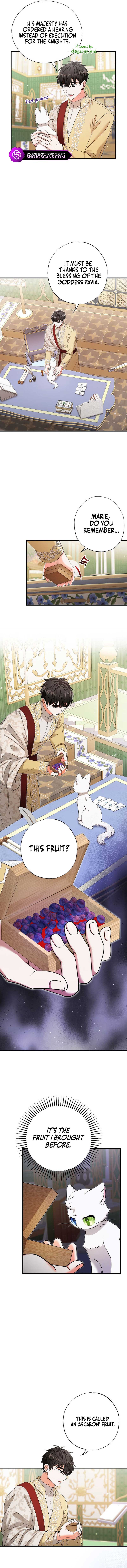 I Became the Emperor’s Cat Chapter 17 - Page 6