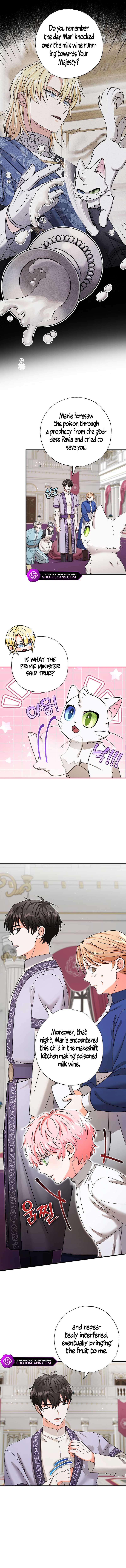 I Became the Emperor’s Cat Chapter 19 - Page 4