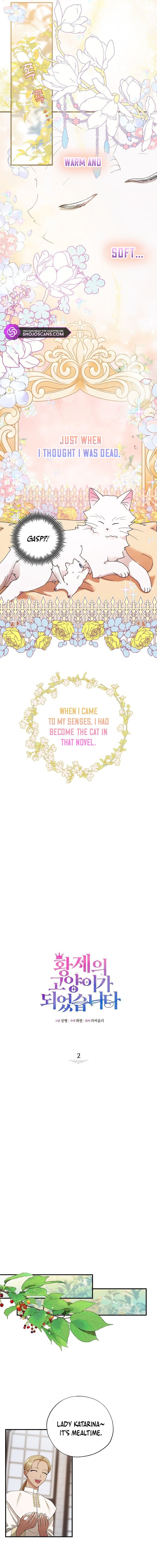 I Became the Emperor’s Cat Chapter 2 - Page 3