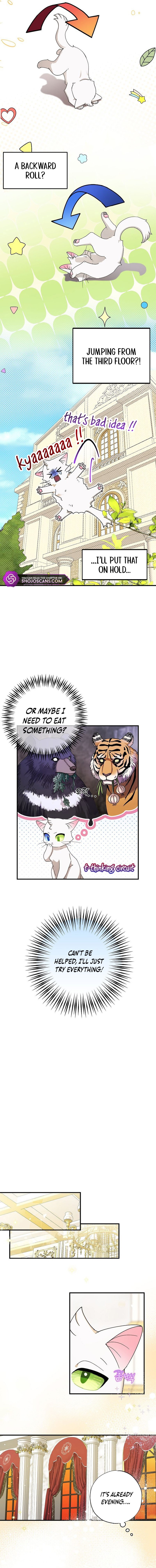 I Became the Emperor’s Cat Chapter 2 - Page 7