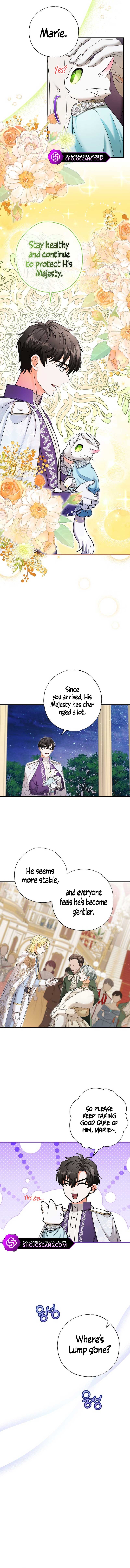 I Became the Emperor’s Cat Chapter 20 - Page 10