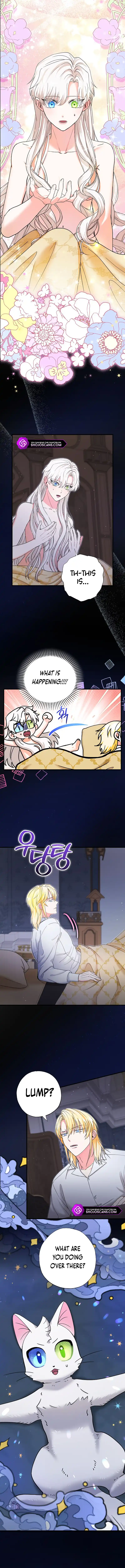 I Became the Emperor’s Cat Chapter 21 - Page 1