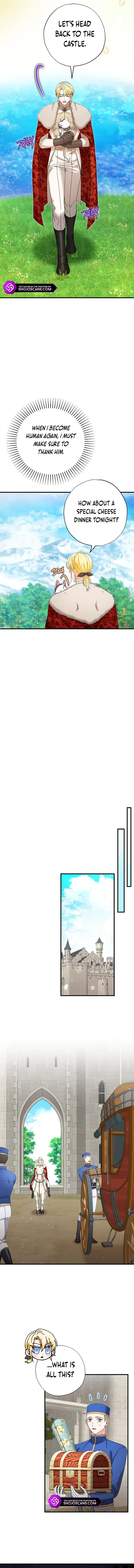 I Became the Emperor’s Cat Chapter 21 - Page 9